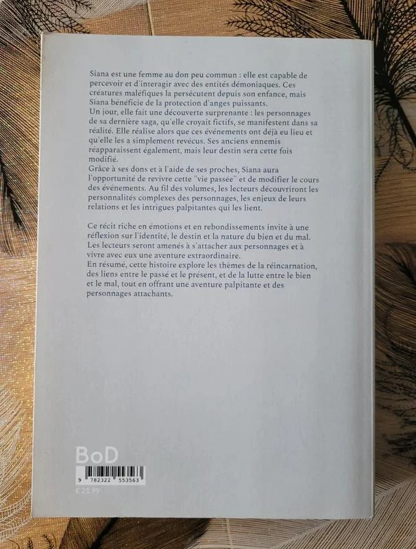 Artist and extralucid - Volume 11 Mellie Eliel – photo 2